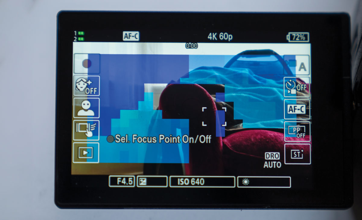 The A6700 has animal tracking that works well and a fully flip-out screen, but sadly no dedicated AF joystick. Focus mapping (above) is an interesting feature but takes getting used to