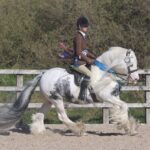 A woman in riding gear trotting around a paddock on a white horse