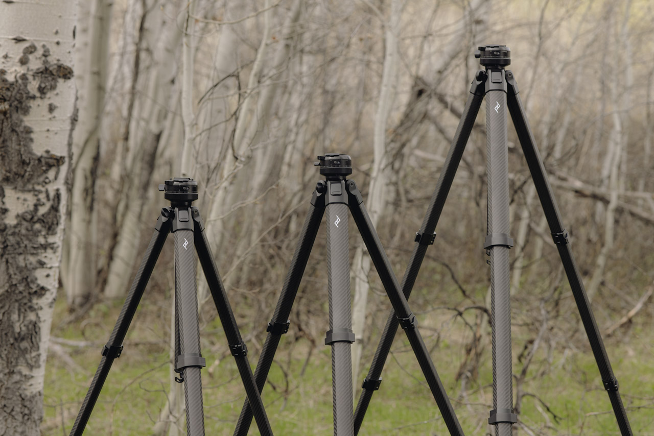 Three tripods are placed in a row of ascending size from left to right. They are placed outside in a forest