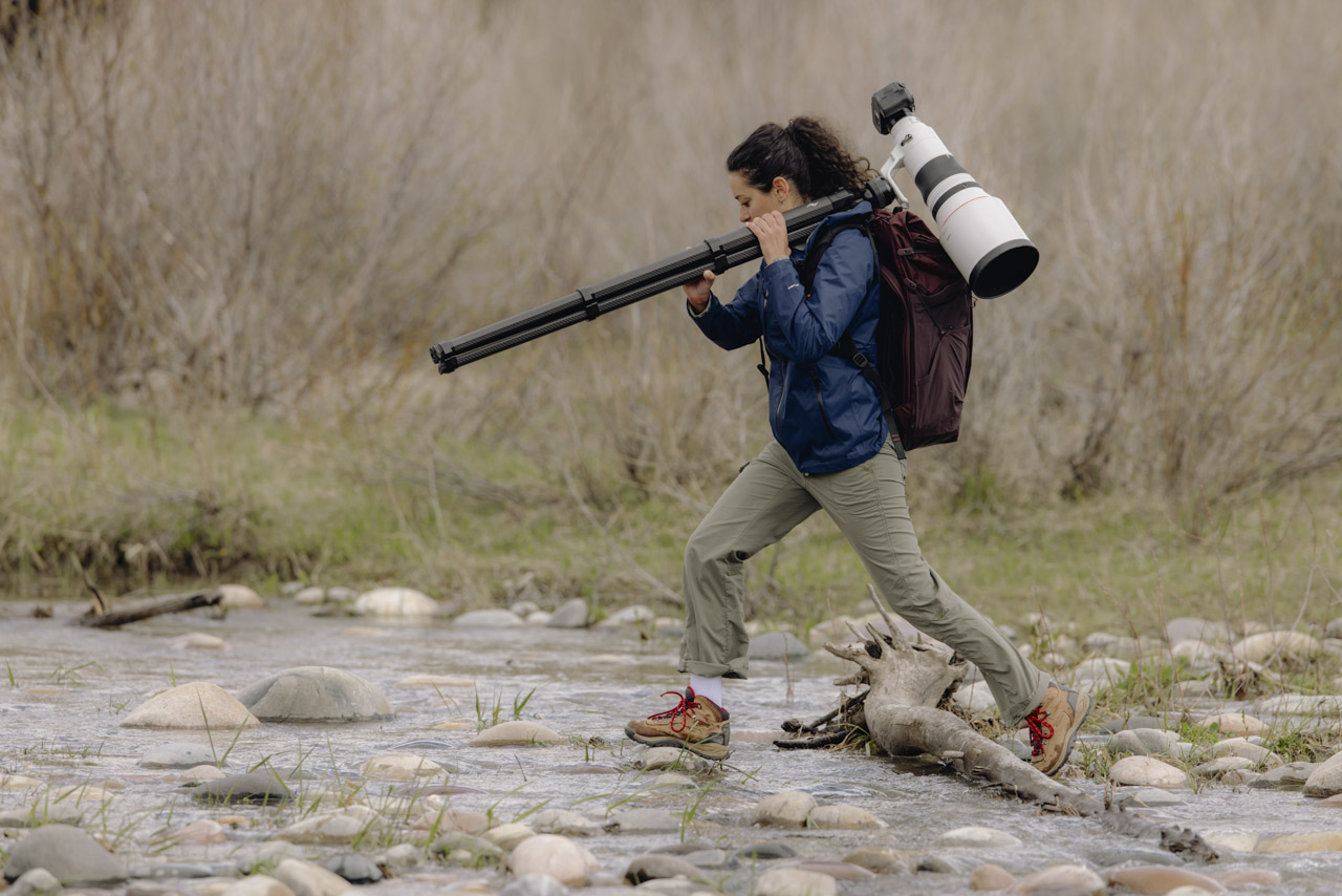 A woman wearing a coat and backpack crosses a river with a camera on a tripod slung over her shoulder