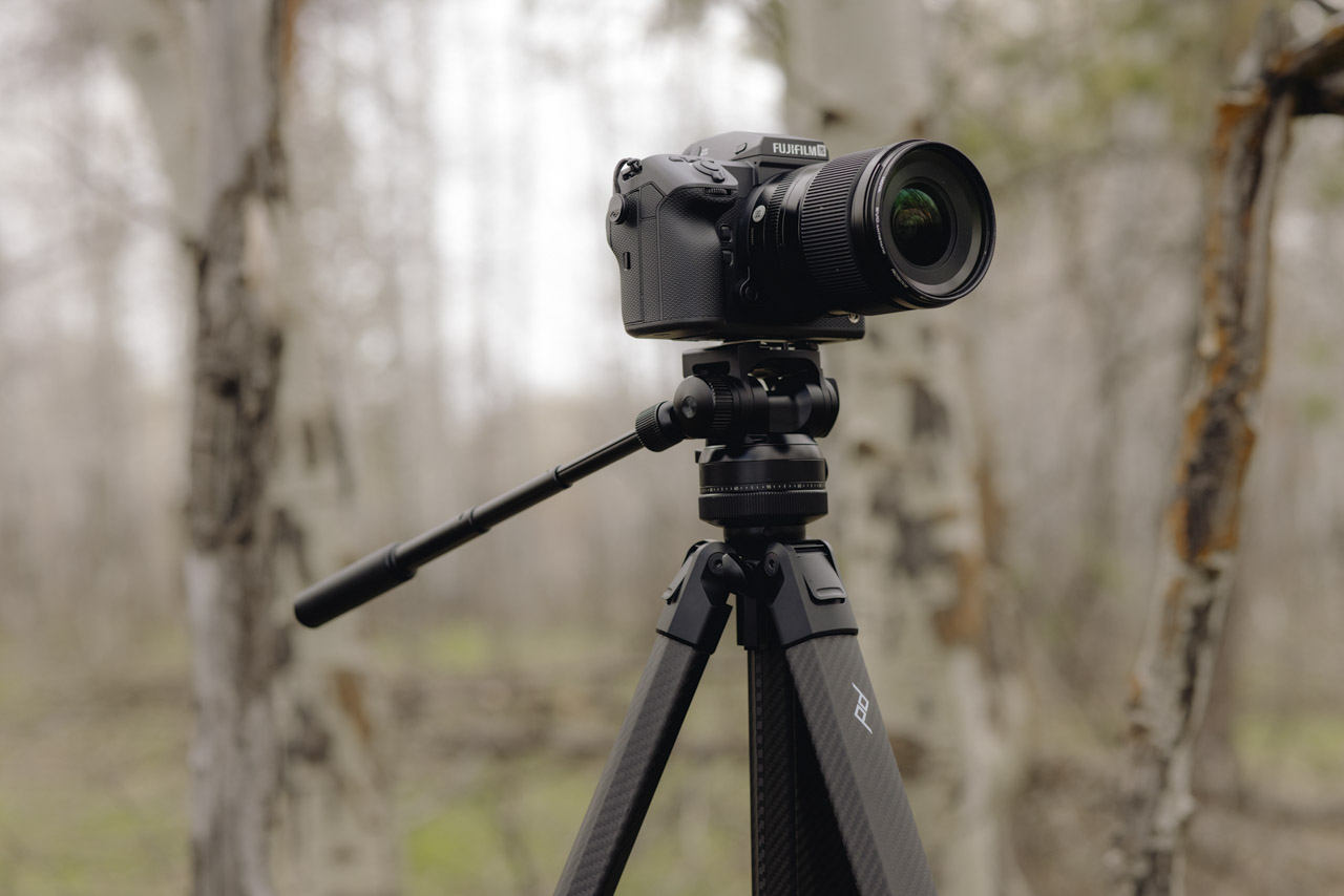 A camera on a tripod placed outside in a forested area