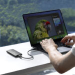 A person working at a desk overlooking a forest. They have a laptop showing a picture of a bright bird with an SSD attached via a cable