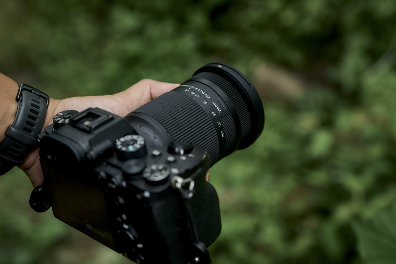 A hand holding a black camera with a Sigma lens attached, against a green natural background