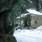 A house in the distance beyond a large tree trunk. The landscape is covered in snow