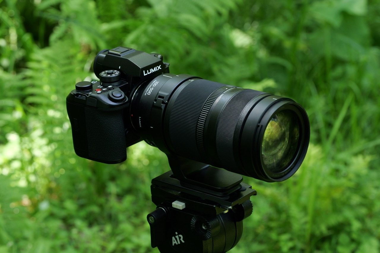 A zoom lens from Panasonic attached to a camera and mount, and positioned outside in greenery