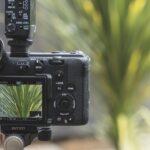 The screen of a Sony FX2 filming a green plant in the blurred background