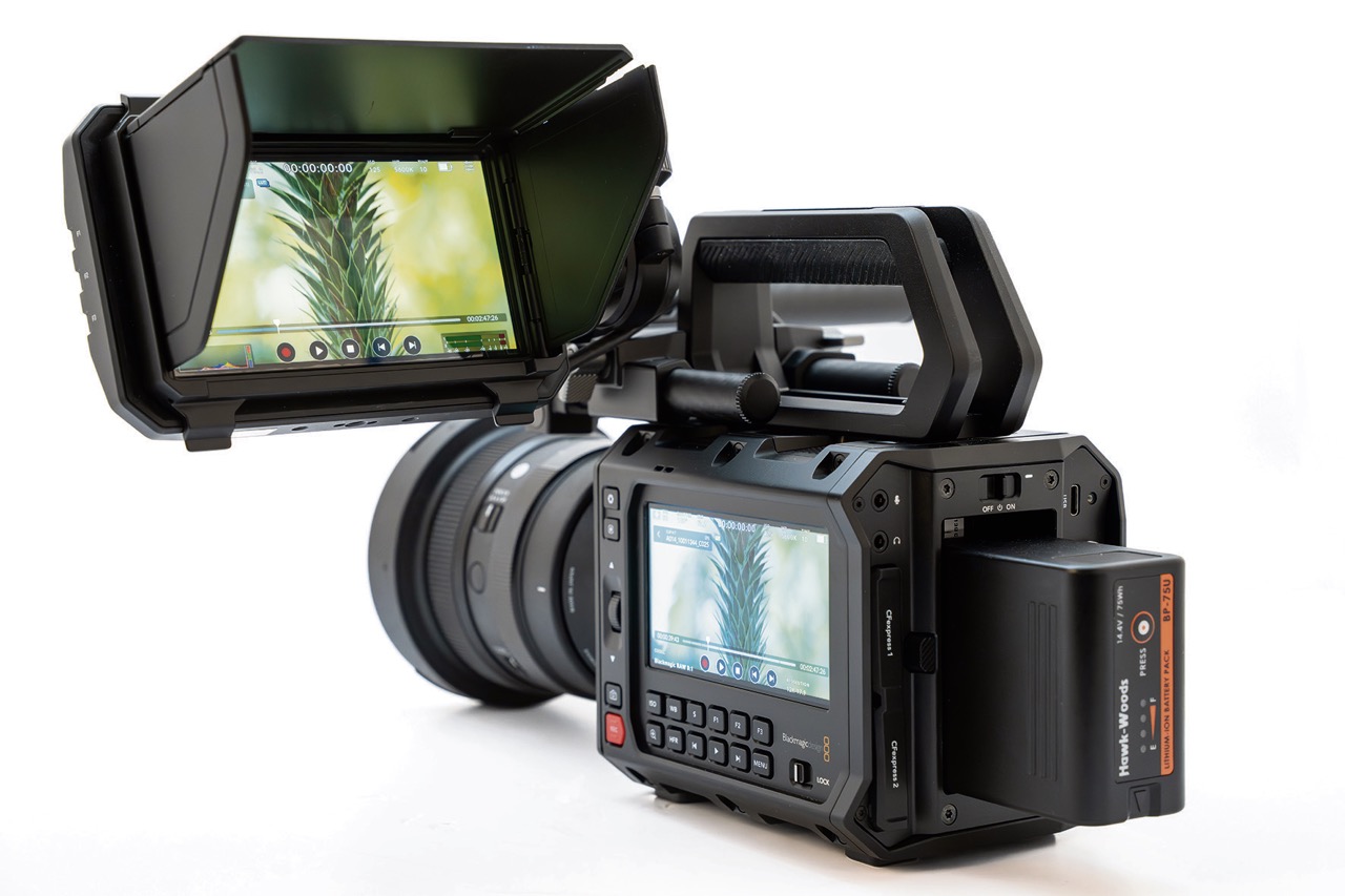 A professional Blackmagic Design with a screen filming a green tree attached, against a white background