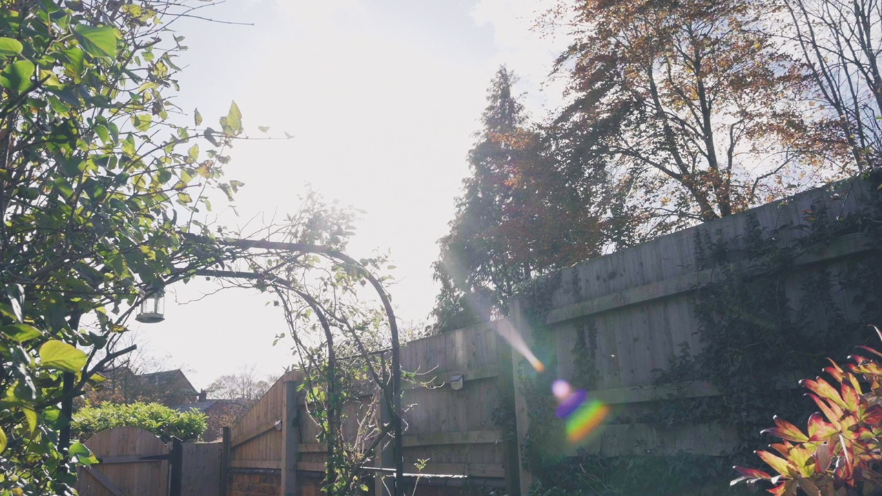 The 28-135mm is ideal for Nikon Z or Red cameras and handles flare decently when provoked Light streaming over a wall surrounded by trees