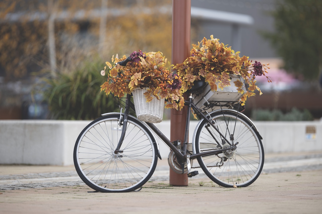 A bike with flowers in the basket and leaning on a lamp