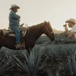 PolarPro Goldstache filter